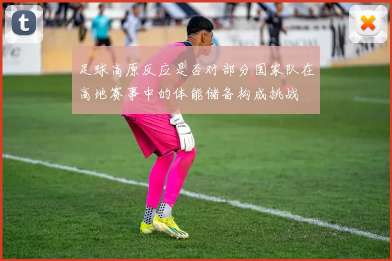 足球高原反应是否对部分国家队在高地赛事中的体能储备构成挑战
