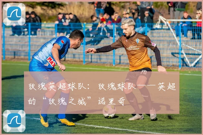 玫瑰英超球队：玫瑰球队——英超的“玫瑰之城”诺里奇