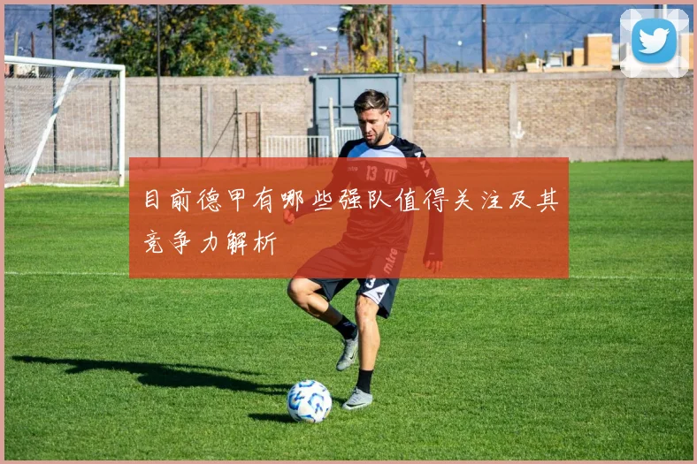 目前德甲有哪些强队值得关注及其竞争力解析