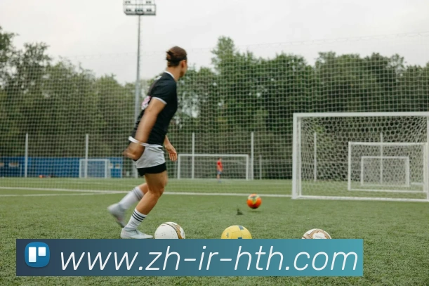 华体会登录入口平台生态图