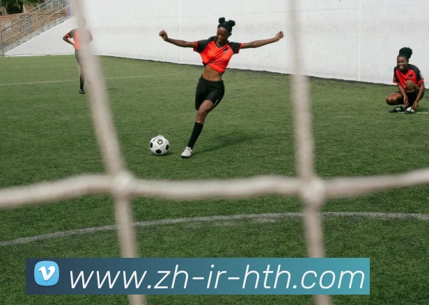 华体会登录入口APP 封面图